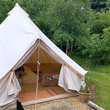 Little Wood Bell Tent Killeagh