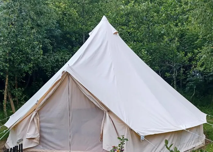 Little Wood Bell Tent Campo de lujo Killeagh