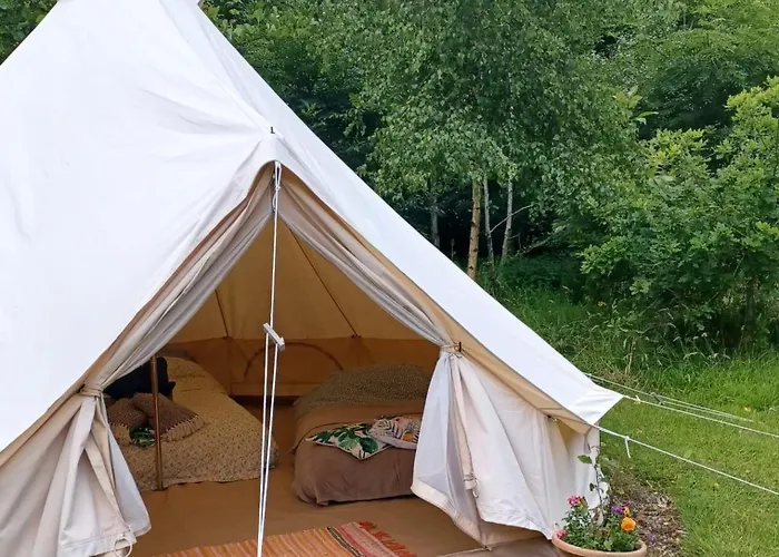 Little Wood Bell Tent Killeagh